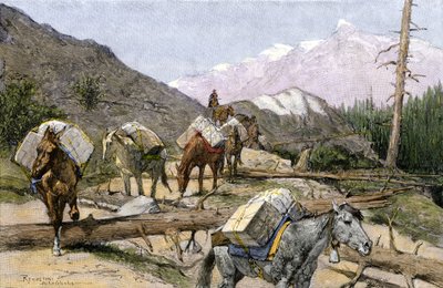 Rocky Dağları