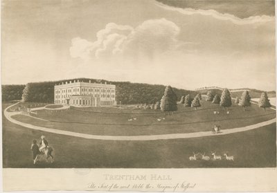 Trentham Hall: aquatint gravür by Unbekannt