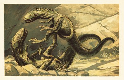 İki savaşan Dryptosaurus aquilunguis.1908 (litografi) by Unbekannter Künstler