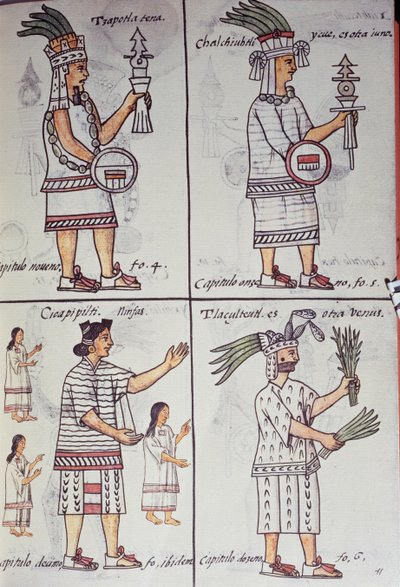 Tzapotlatena, Chalchiuhtlatonal, Cioapipitli ve Tliltecuhtli, Florentine Codex, İspanyolca ve Nahuatl'da iki dilli versiyon, Yeni İspanya Şeylerinin Genel Tarihi, Aztek by William M. Timlin