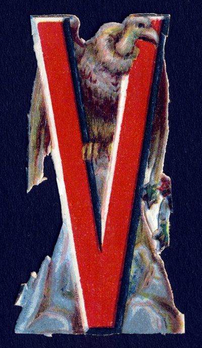Vulture olarak. Hayvanlar konulu böcek oymacılığı. Oymak. İngiliz menşeili 26 waffle kromolitograf serisi. Editör ve illüstratör bilinmiyor. 19. yüzyılın sonu. Karartma: 5,5x3,5cm by Unbekannt