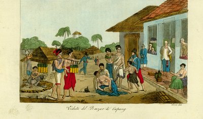 Kupang, Timor