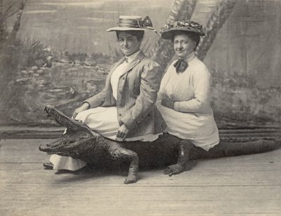 Doldurulmuş bir timsahın üzerinde oturan kadınlar, 1905 dolayları (s/b fotoğraf) by Unbekannter Künstler