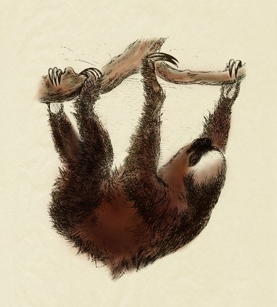  by Unbekannter Künstler
