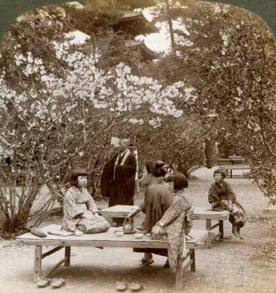 Kiraz çiçeklerinin altında piknik yapan bir aile, Omuro Gosho, Kyoto, Japonya, 1904. by Underwood and Underwood