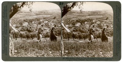 Bethany, Zeytin Dağı