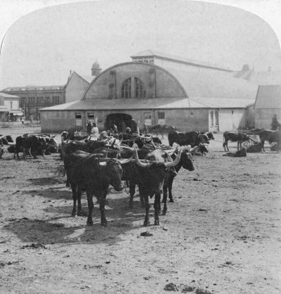 Savaş esirlerinin yargılandığı bina, Pretoria, Güney Afrika, Boer Savaşı, 1901 by Underwood and Underwood