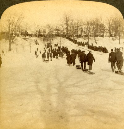 Kanada kış sporları - kızakla kayma, 1905. by Underwood and Underwood