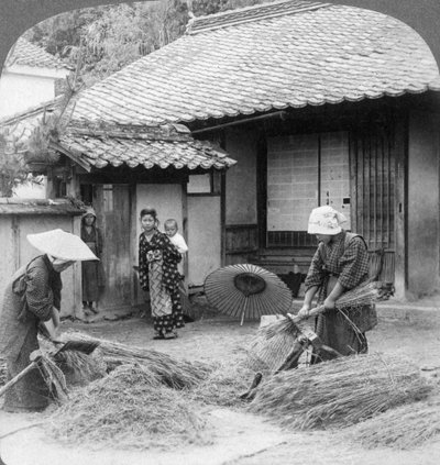 Çiftçi eşleri iş başında, Iwakuni, Japonya, 1904. by Underwood and Underwood