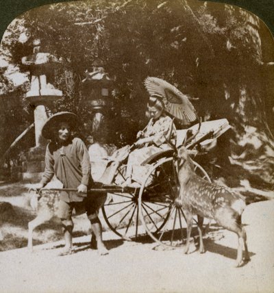 Duaya giderken kutsal geyiği besleyen kız, Kasuga Tapınağı arazisi, Nara, Japonya, 1904 by Underwood and Underwood