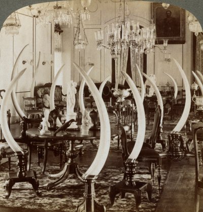 Tusks Salonu, Lady de Soysa