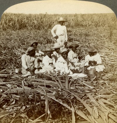 La Union şeker plantasyonunda, San Luis, Santiago Eyaleti, Küba, 1899. by Underwood and Underwood