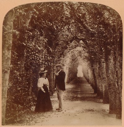 Queen Marys Bower, Hampton Court, Londra, İngiltere, 1896. by Underwood and Underwood