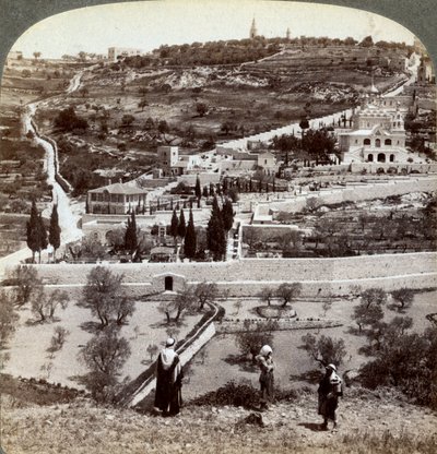 Getsemani Bahçesi ve Zeytin Dağı, Filistin, 1908. by Underwood and Underwood