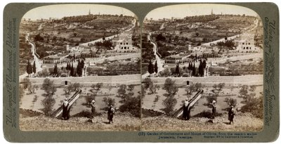 Getsemani Bahçesi ve Zeytin Dağı, Filistin, 1908. by Underwood and Underwood