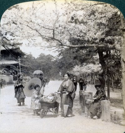 Kiraz çiçeklerinin altında, Shiba Park