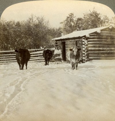 Bir çiftlikte kış, Montana, ABD. by Underwood and Underwood