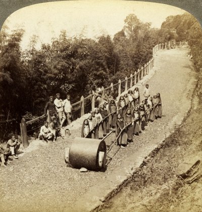 Darjeeling Otoyolu, Hindistan üzerinde çalışan kadınlar. by Underwood and Underwood