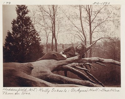 [Beatrice Thom Ağaçta, Haddonfield, New Jersey] by Unidentified