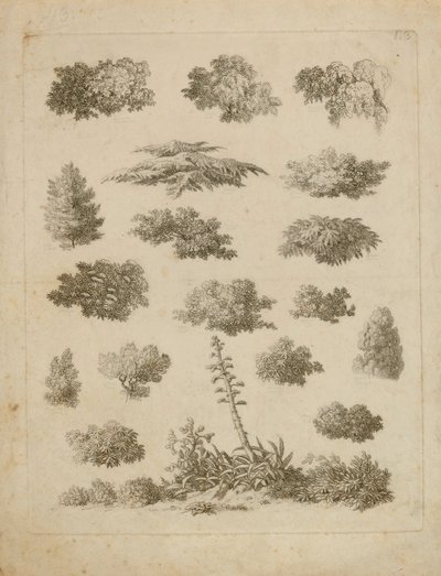 Yeşillik Çalışmaları by Unidentified