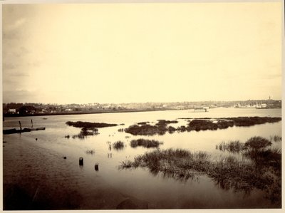 [Harlem Nehri] by Unidentified
