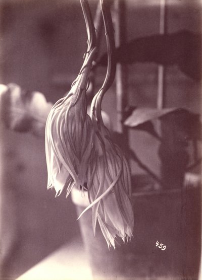  by Unidentified