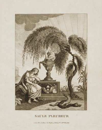 Ağlayan Söğüt by Unidentified