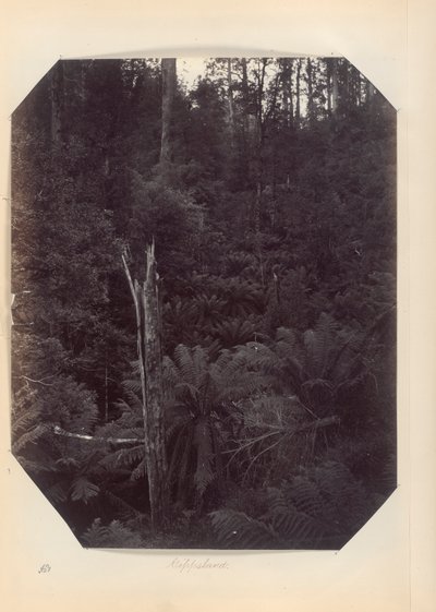 Avustralya - (Victoria ve G. Avustralya) by Unknown