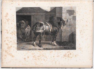 Bir Ahırın Dışında Duran Siyah At by Unknown