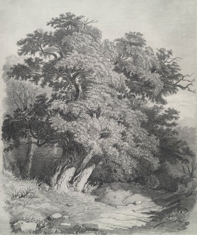 Ağaç Yığını by Unknown