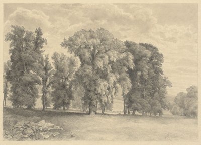 Çayır ve Ağaçlar by Unknown