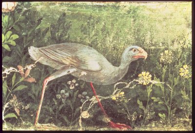Bahçedeki Sultan tavuğunun duvar resmi, Pompeii, MS 1. yüzyıl by Unknown