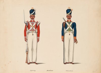 10. Madras Yerli Piyade ve Madras Topçu by Unknown artist