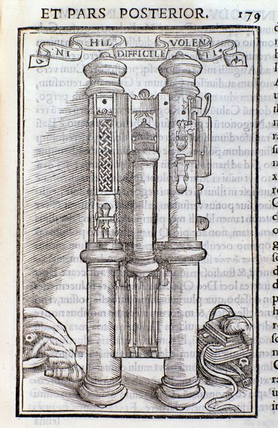 Bir Fagotus (Phagotus). Theseus Ambrosius Albonesius