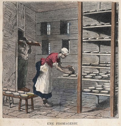 Bir peynir fabrikası. 19. yüzyıl illüstrasyonu. Bianchetti koleksiyonu. by Unknown artist