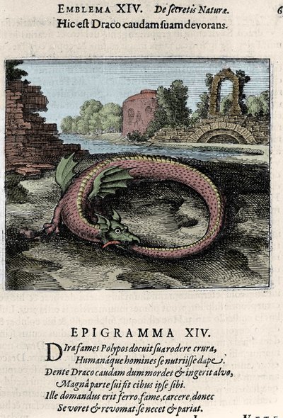 Kuyruğunu döven bir ejderha (veya Ouroburo (?)). Simya yolculuğundan alınan levha Michel Maier (1568-1622) tarafından "Uçan Atalanta doğanın gizli kimyasının simgesel romanıdır" by Unknown artist