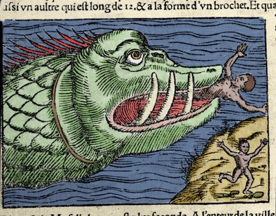 Bir deniz canavarı, Norveç kıyılarında bir yüzücüyü dövüyor. Olaus Magnus (1490 - 1557), İsveçli dindar ve coğrafyacı tarafından gravür, “Historia de Gentis Septentrionalibus”, Venedik by Unknown artist