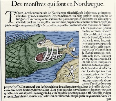 Bir deniz canavarı, Norveç kıyılarında bir yüzücüyü dövüyor. Olaus Magnus (1490 - 1557), İsveçli dindar ve coğrafyacı tarafından gravür, “Historia de Gentis Septentrionalibus”, Venedik by Unknown artist