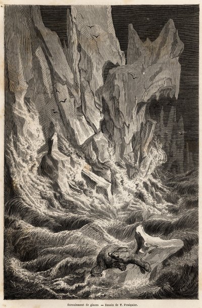 Bir kutup ayısı, 1838-1839