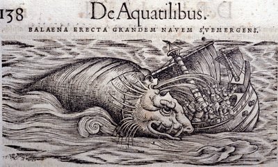 Bir balina, bir teknenin gövdesini yok eder ve batmasına neden olur. Gravür n Historia Animalium, Conrad Gesner (1516 - 1565), Tiguri by Unknown artist