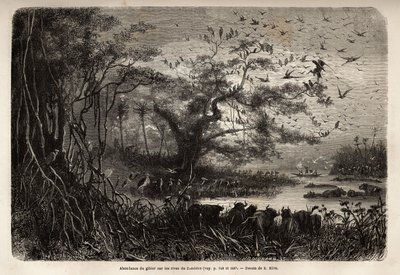 Zambese kıyılarında oyun bolluğu. Dr. Livingstone