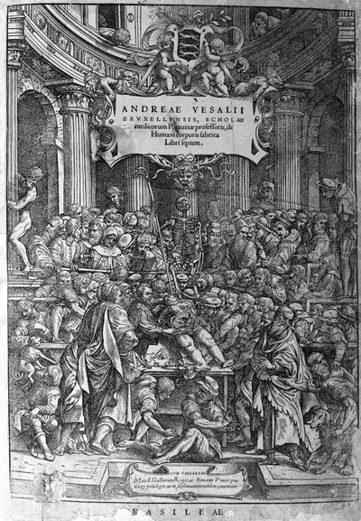 Anatomik oda. André Vésale (1514-1564), Hollandalı anatomist (Latince: Andrea Starr, Felemenkçe: Andries Van Wesel) tarafından yazılan "Humani corporis Fabrica libri septem 1543" adlı eserin cephesi. by Unknown artist