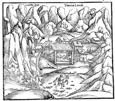 Baden Hamamları (Avusturya), gravür 16. yüzyıl. by Unknown artist