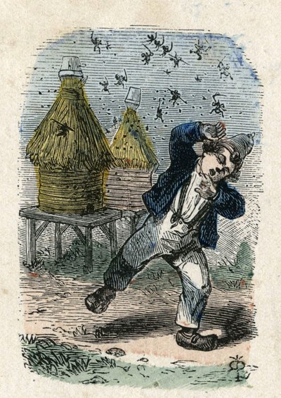 Arılar, kovanlarının yakınında bir çocuğa saldırır. Resim 19. yüzyıl. Bianchetti Koleksiyonu by Unknown artist