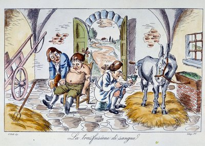 Kan nakli Bir doktor bir hastaya at kanı enjekte eder. 19. Yüzyıl Özel Koleksiyonundan Karikatür by Unknown artist