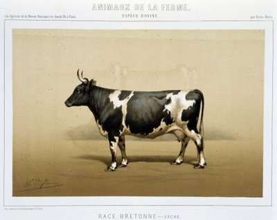 Breton ineği by Unknown artist