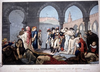 Mısır Seferi (Seferi) (1798-1801): Napolyon, 1800 dolaylarında Mısır