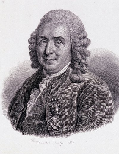 Carl Von Linné İsveçli doğa bilimci ve yazar (1707 - 1778) - “Yararlı Adamların Portresi”nde” by Unknown artist