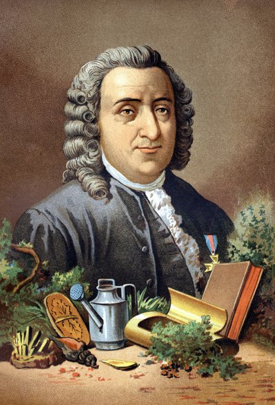 Carl Von Linné İsveçli doğa bilimci ve yazar (1707 - 1778), Louis Figuier