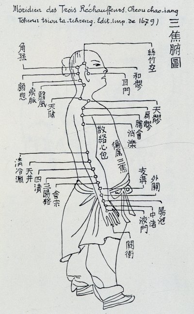 Çin Akupunkturu: üç ısıtıcının meridyeni by Unknown artist